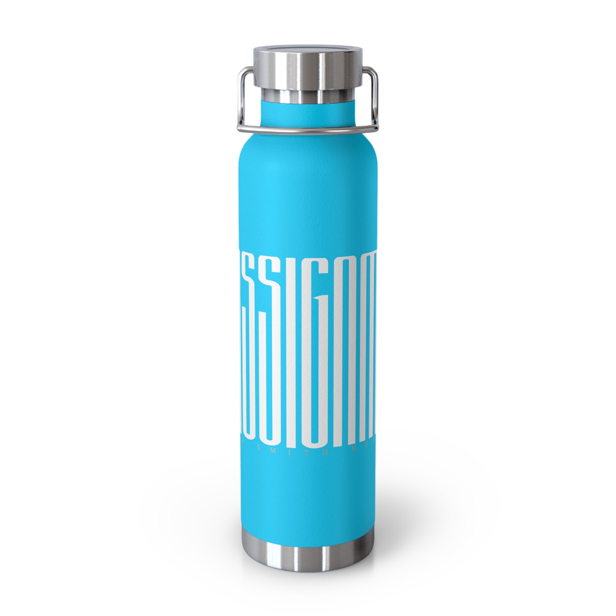 ON ASSIGNMENT Copper Vacuum Insulated Bottle, 22oz