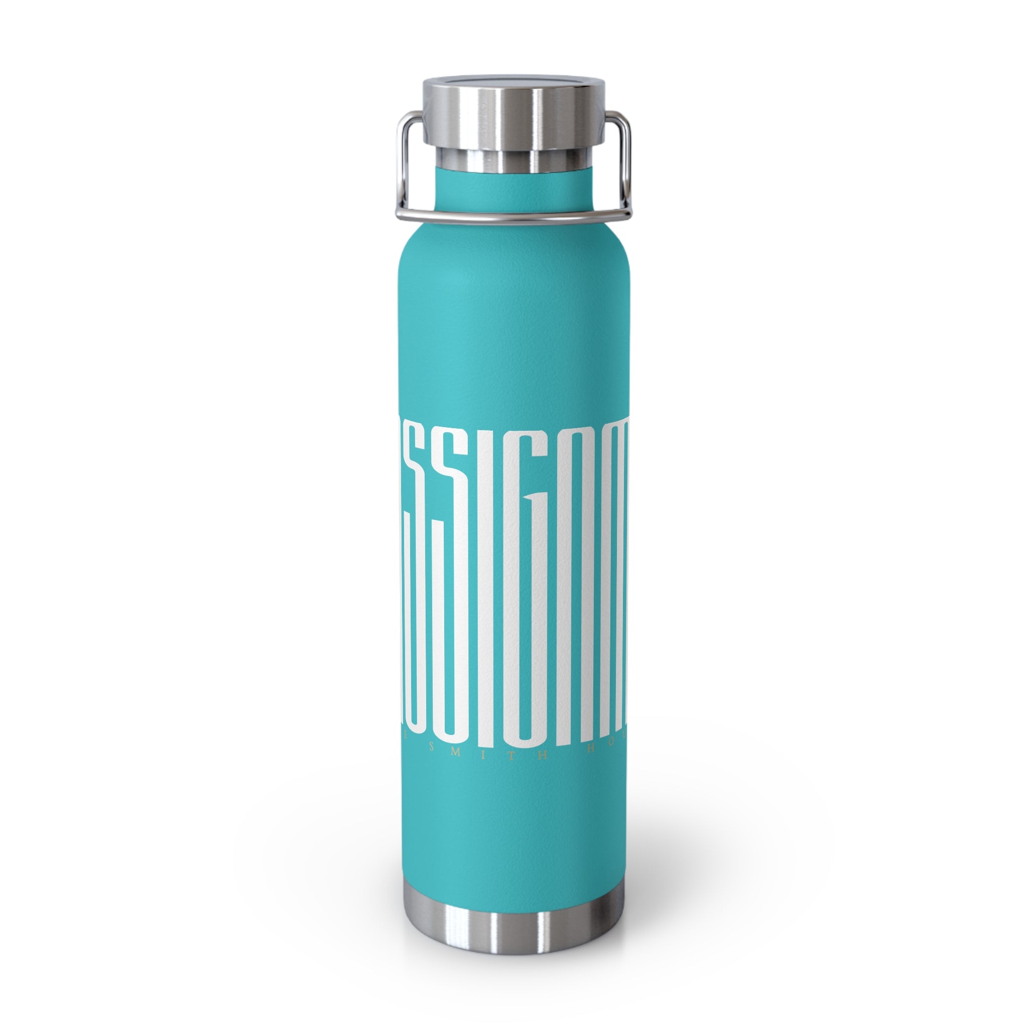 ON ASSIGNMENT Copper Vacuum Insulated Bottle, 22oz