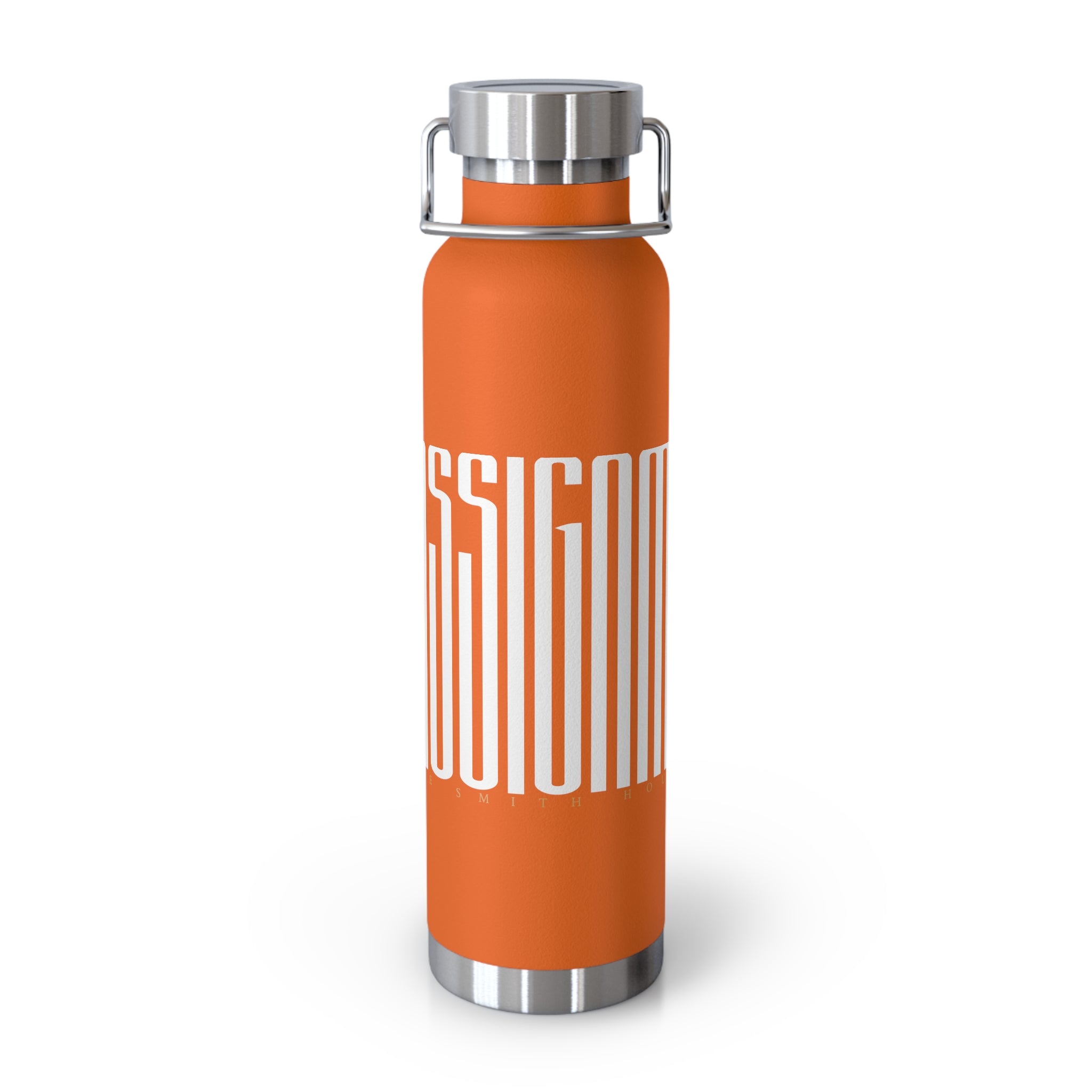 ON ASSIGNMENT Copper Vacuum Insulated Bottle, 22oz