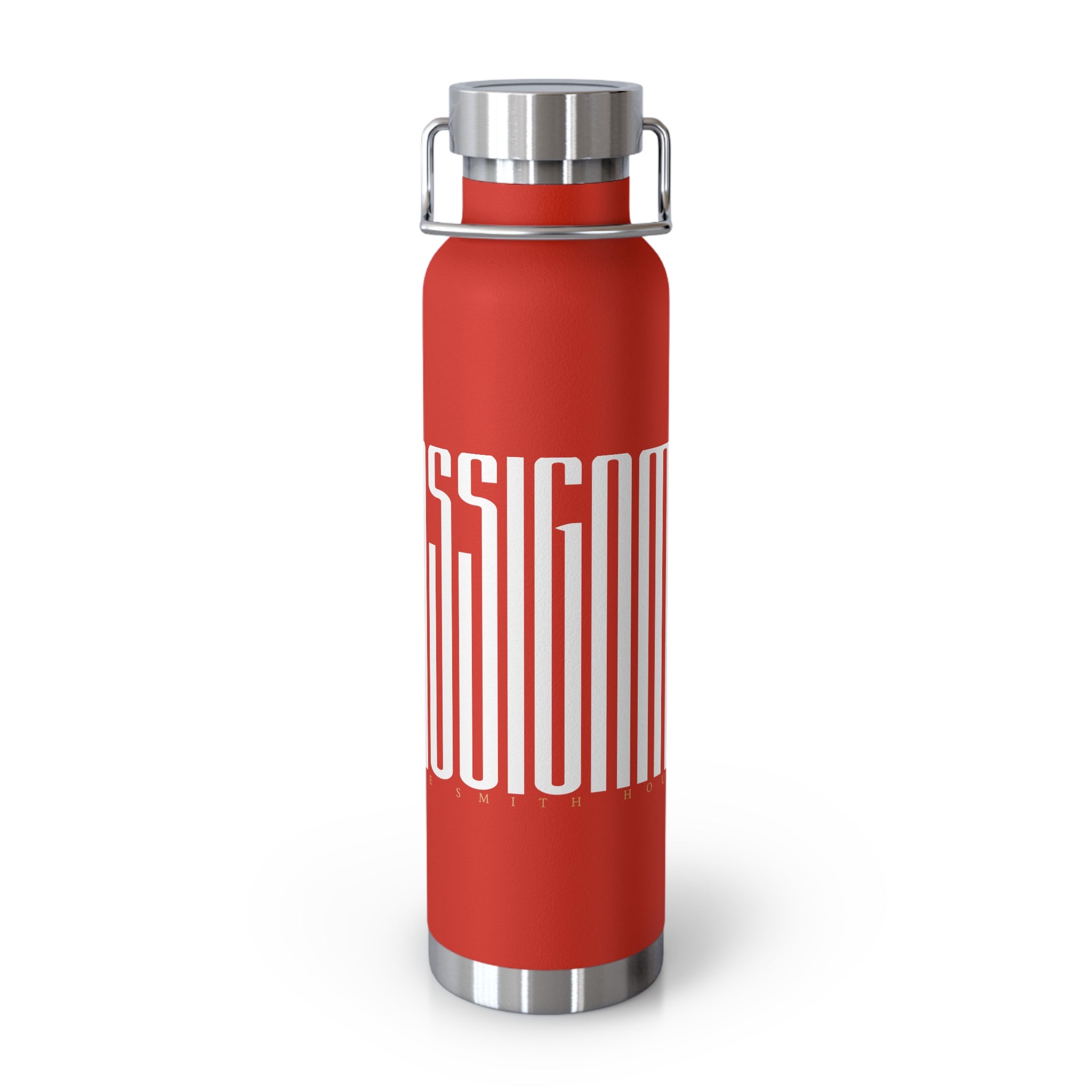 ON ASSIGNMENT Copper Vacuum Insulated Bottle, 22oz